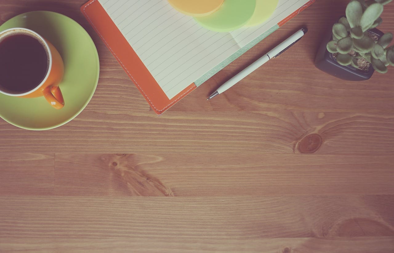 At the end of the day: a plant, a notebook and nothing else.
