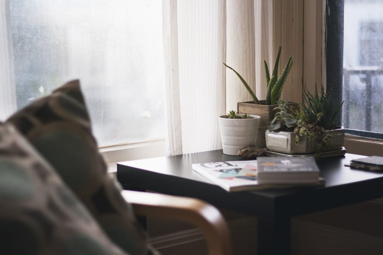 Side light from a window: the best light for working at a screen.