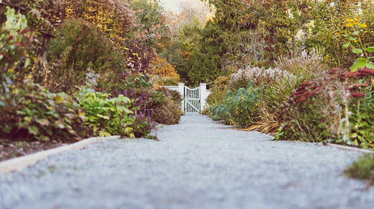 The new path: gravel edged with brick, and planting on both sides.