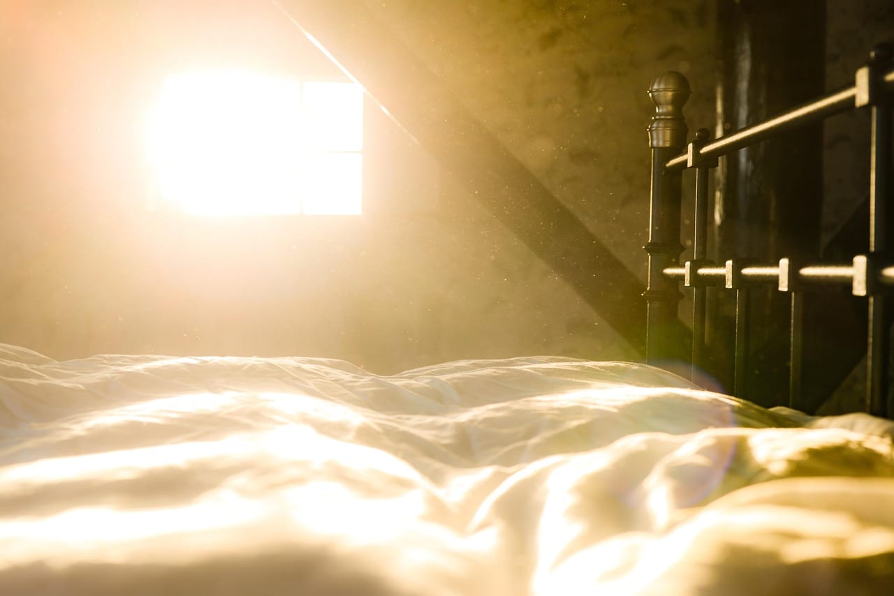 Morning light on the bed. The colour should feel right at both ends of the day.